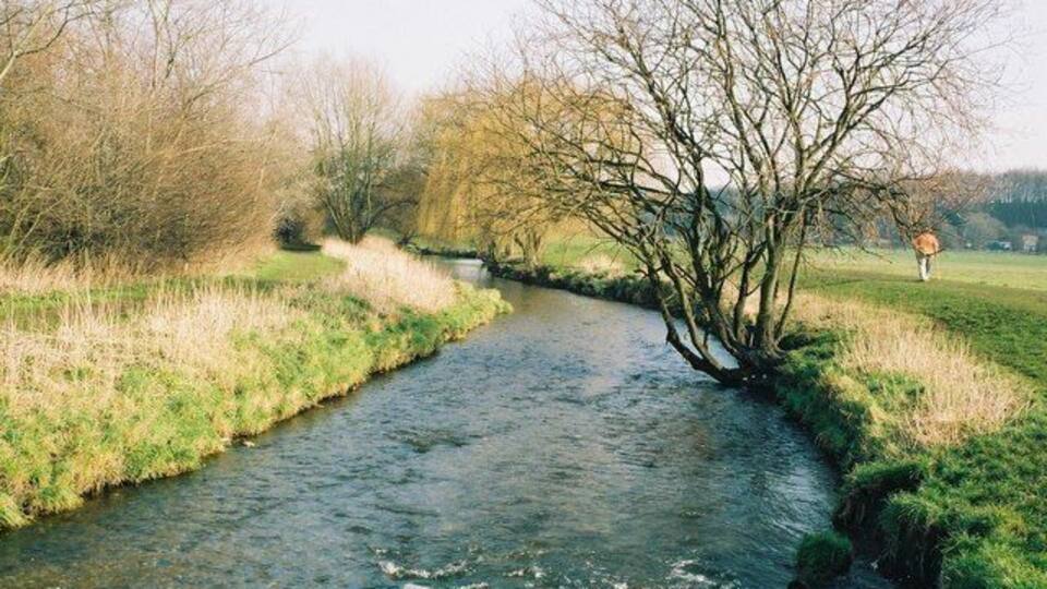 A narrow river with a bend, surrounded by grassy banks and leafless trees.