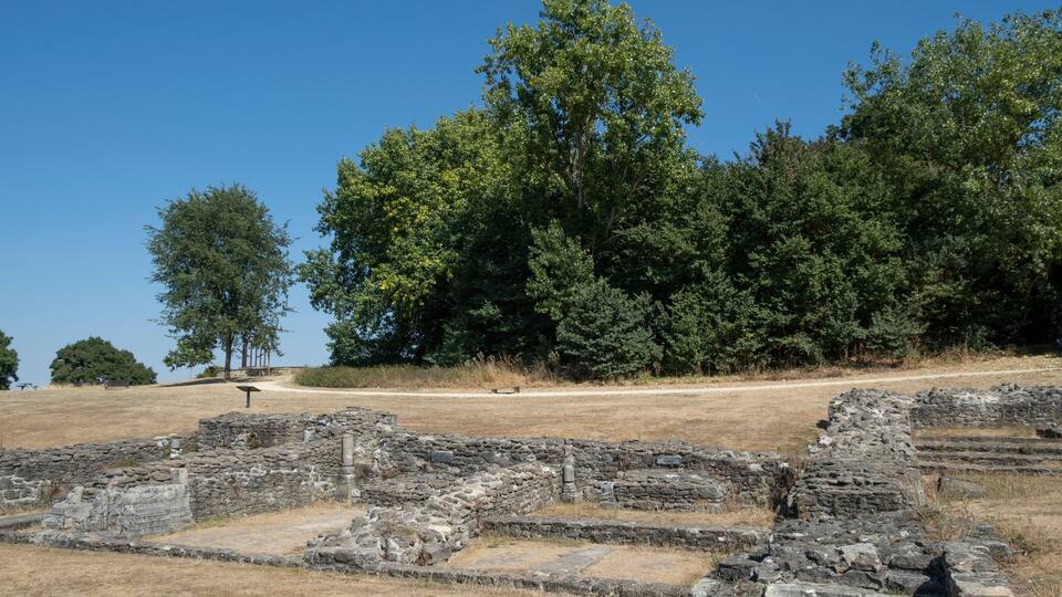 Ancient ruins with stone walls and a pathway, surrounded by trees and a clear blue sky.