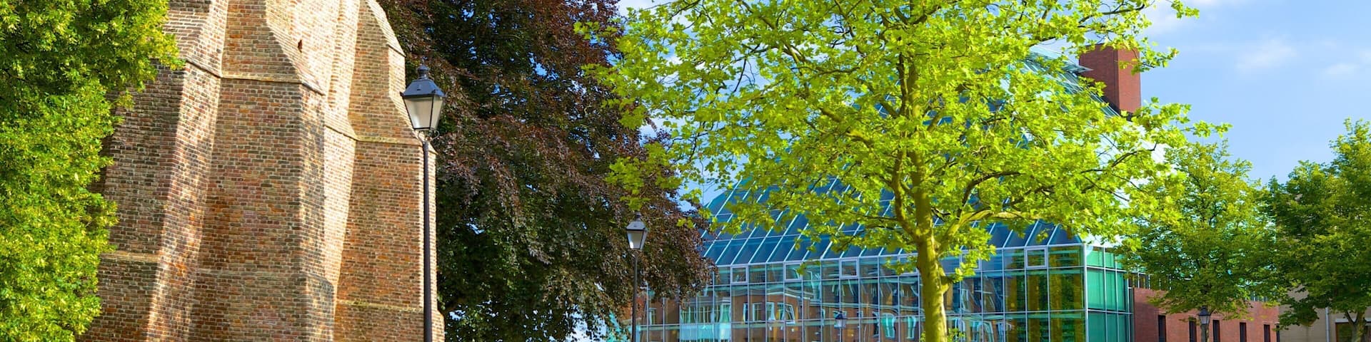 Spijkenisse featuring street scenes