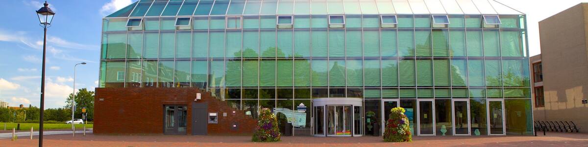 Spijkenisse showing street scenes and modern architecture