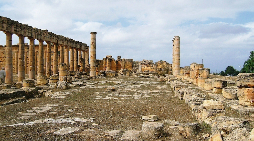 ancient cyrene not far from benghazi