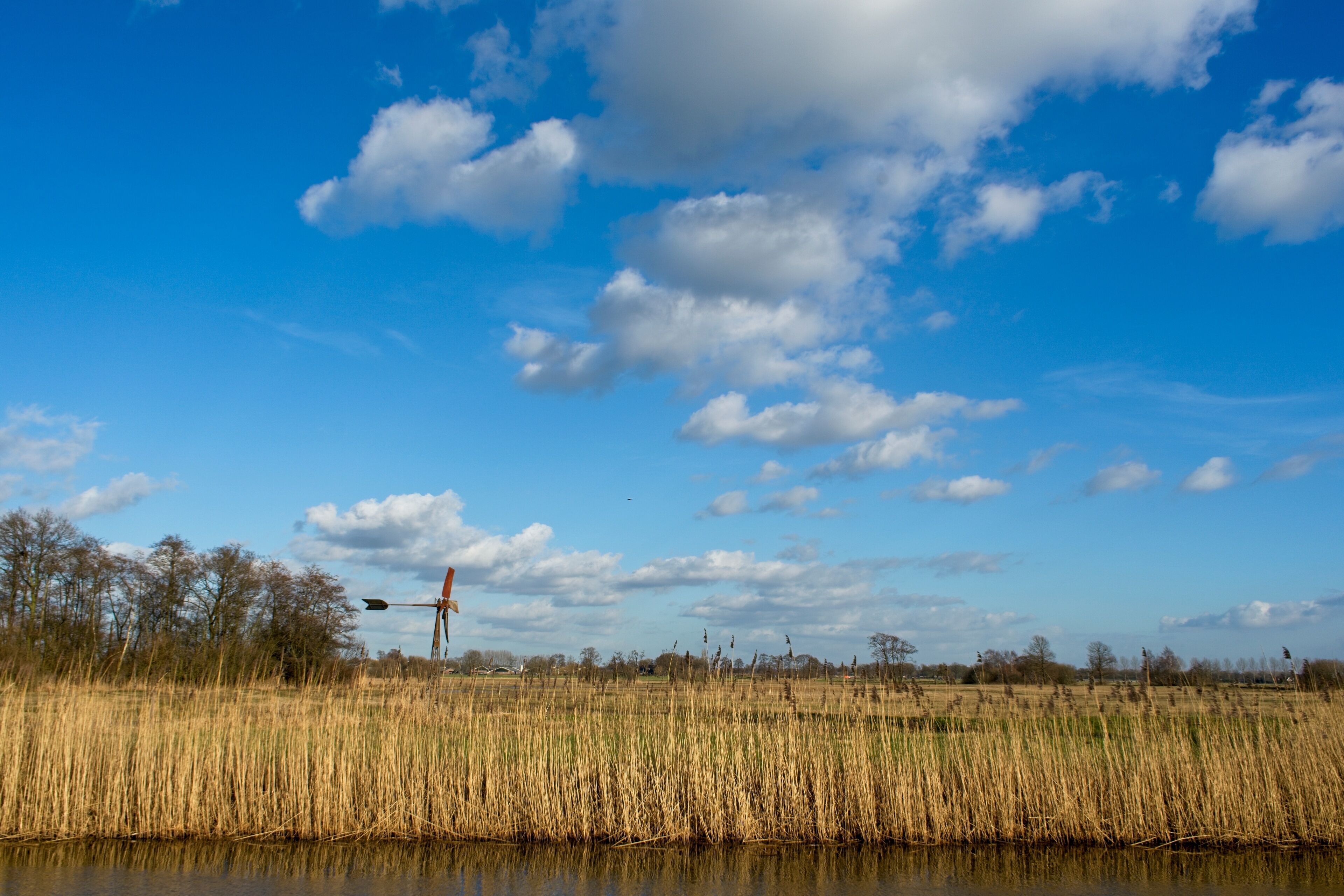 Wageningen Netherlands - 16 February 2018 - Nature reserve Hooilanden in Binnenveld near Wageningen in the Netherlands