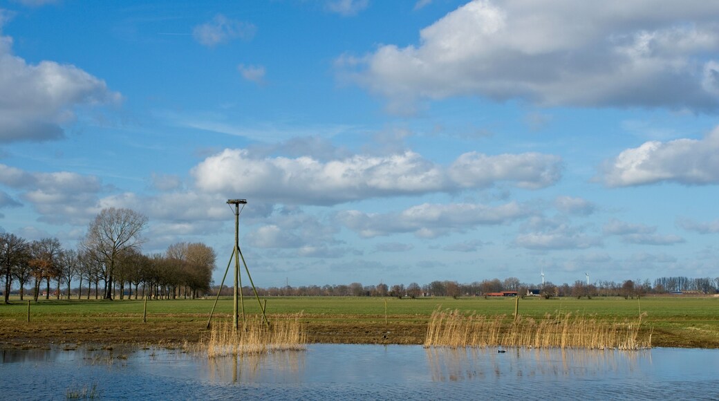 Wageningen Netherlands - 16 February 2018 - Nature reserve Hooilanden in Binnenveld near Wageningen in the Netherlands