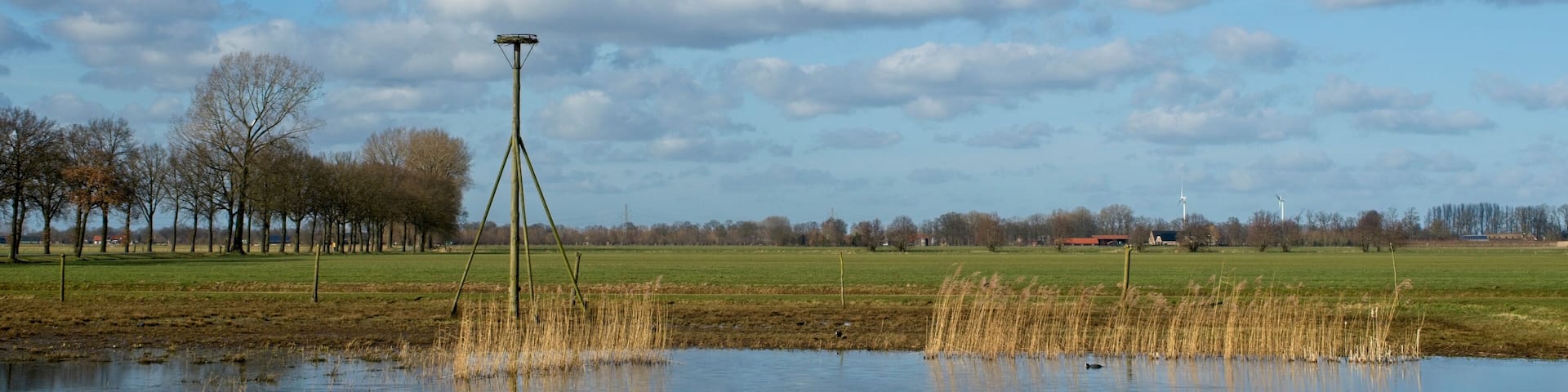 A rural landscape with a pond, trees, and wind turbines in the distance.