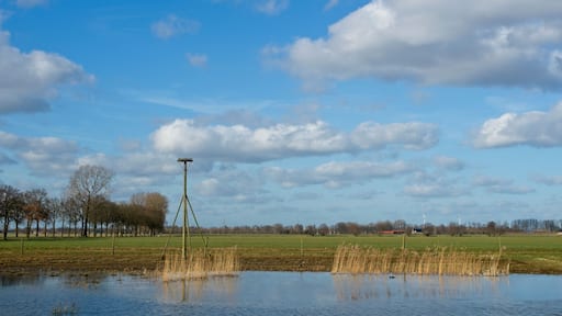 Wageningen Netherlands - 16 February 2018 - Nature reserve Hooilanden in Binnenveld near Wageningen in the Netherlands