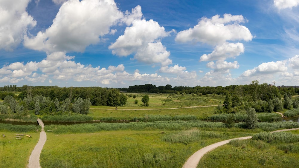 Spring time panoramic view of the nature and recreation area De Broekpolder, Vlaardingen, The Netherlands