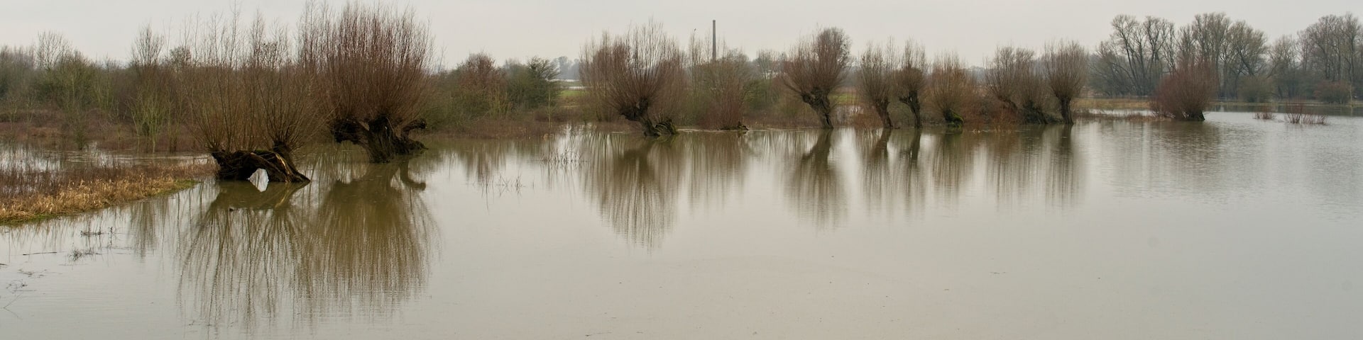 Wageningen Netherlands - 4 February - Flood plains of river Rhine near Wageningen in the Netherlands