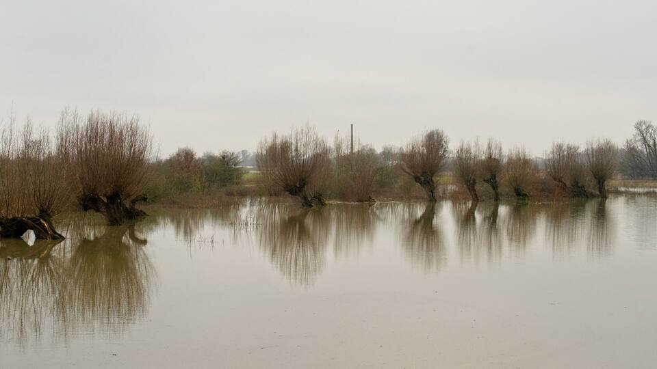 A calm river with trees reflecting on the water.