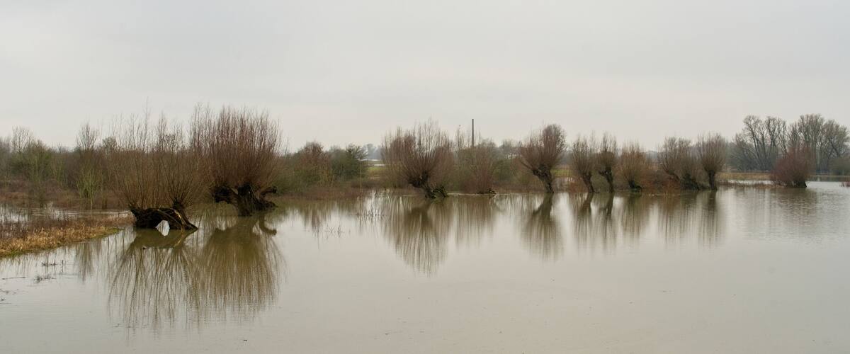 A calm river with trees reflecting on the water.