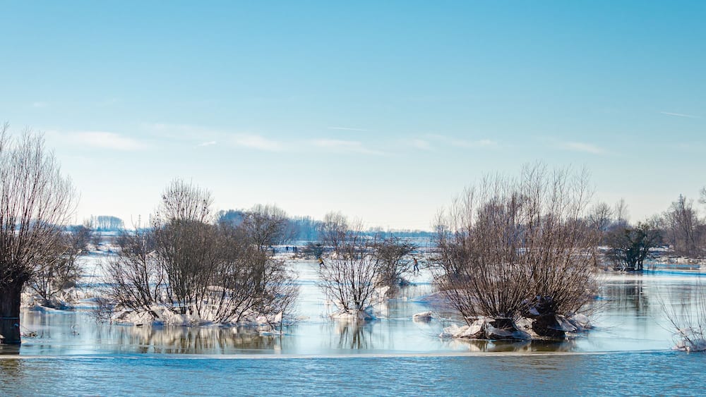 Ein gefrorener Fluss, kahle Bäume und ein klarer Himmel.