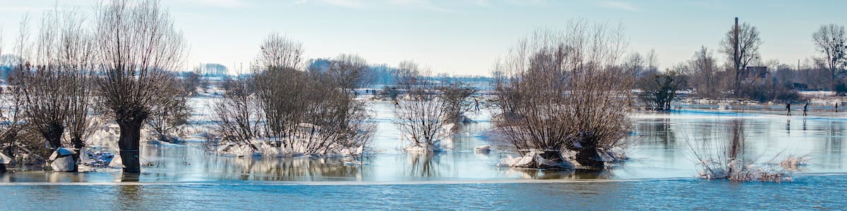 Ein gefrorener Fluss, kahle Bäume und ein klarer Himmel.