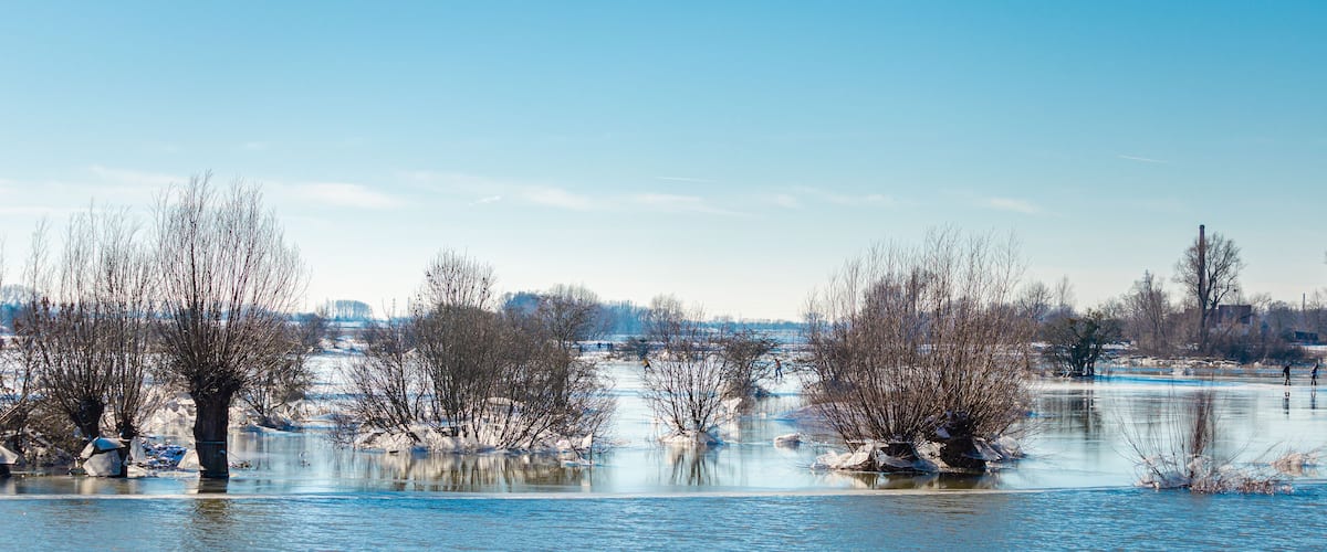 Un río congelado, árboles desnudos y cielo despejado.