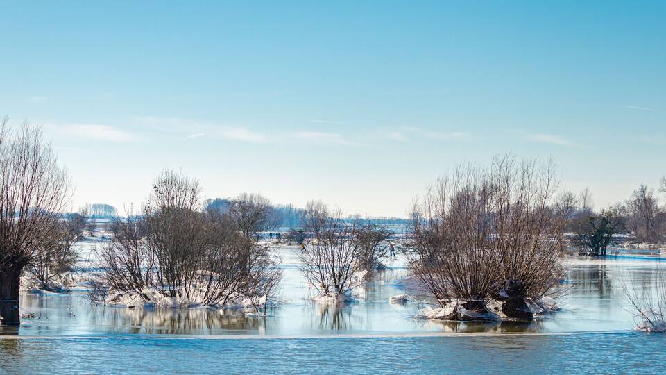 A frozen river with bare trees and a clear sky.