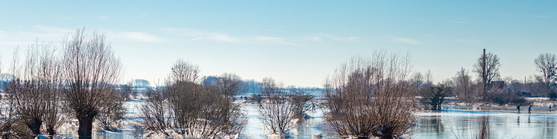 Un río congelado, árboles desnudos y cielo despejado.