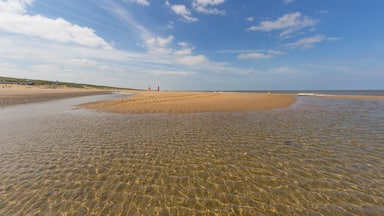 A beach with clear shallow waters, a sandy shore, and a few distant structures.
