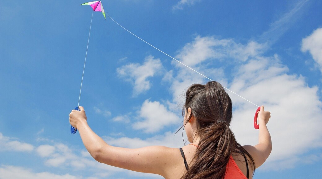 May 2014
Kite flying on the beach at Wassenaar. Being a long stretch of sandy beach, theres always guaranteed wind.