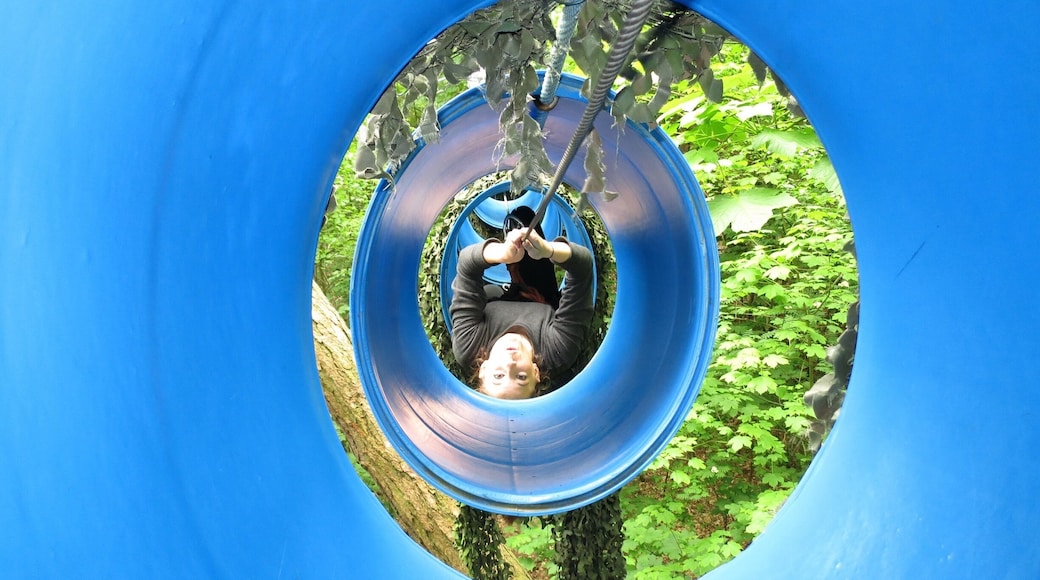 Up in the trees on the adventure course at Duinrell.