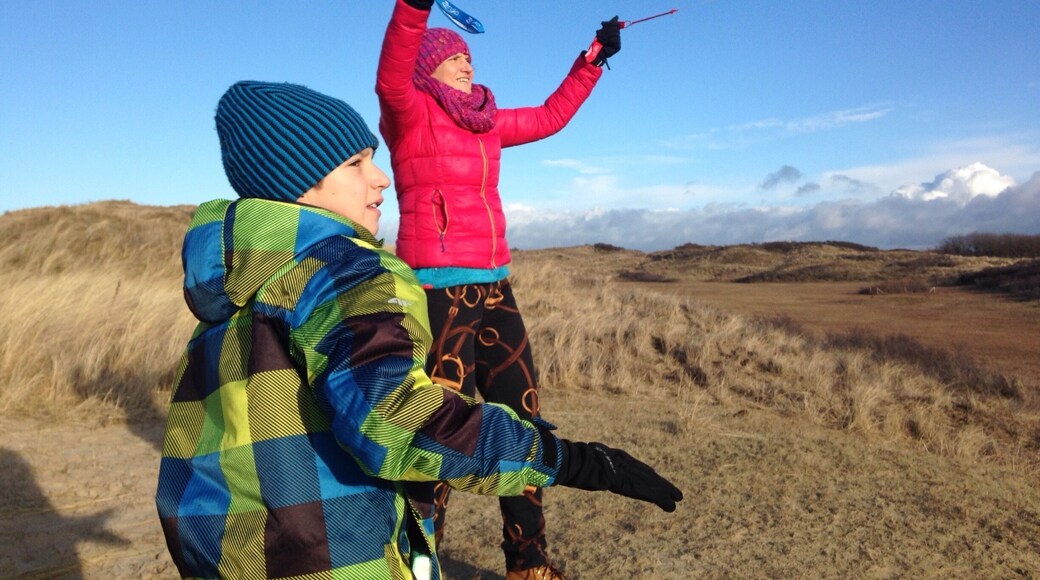 Dunes in Wassenaar, Holland.
If you like playing with a kite with your kids, there is no better place than dunes in Holland by the North Sea. The wind is guaranteed, especially in Winter and early Spring. #familytravel #ttot #kidsfun