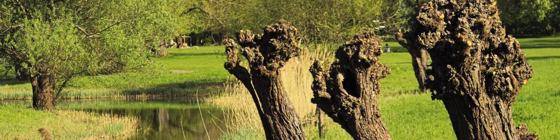 Ein Spaziergang durch den Britzer Garten im Süden Berlins.
A walk through Britzer Garden - an recreational area in the south of Berlin.