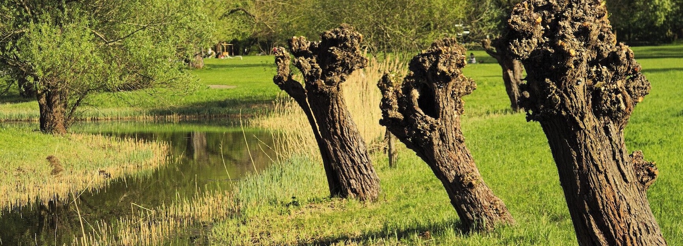 Ein Spaziergang durch den Britzer Garten im Süden Berlins. 
A walk through Britzer Garden - an recreational area in the south of Berlin.