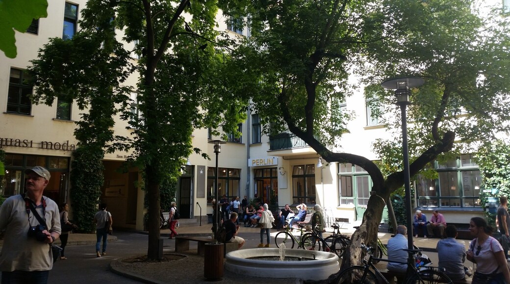 If you're in Berlin you should definitely check out the Hackeschen Höfe. These are little yards with lots of different types of cute and little shops. It's near the commuter railway system station Hackescher Markt. The Hackeschen Höfe are really nice to visit and the shops are really nice.