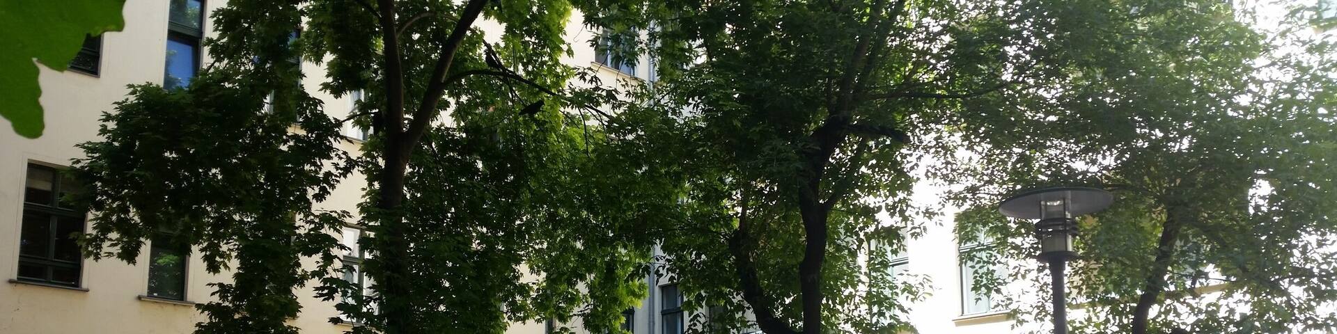 If you're in Berlin you should definitely check out the Hackeschen Höfe. These are little yards with lots of different types of cute and little shops. It's near the commuter railway system station Hackescher Markt. The Hackeschen Höfe are really nice to visit and the shops are really nice.