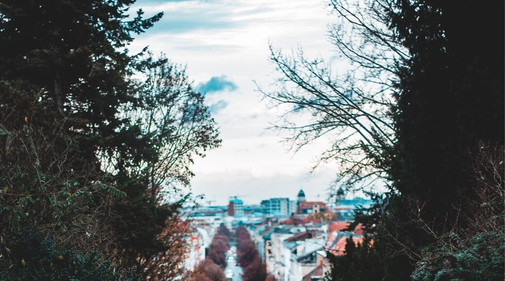 Views of the city from Viktoriapark in Kreuzberg, Berlin
-
#StreetPhotography #LandscapePhotography #Landscape #Cityscape #Park #City #Autumn