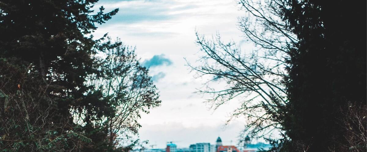 Views of the city from Viktoriapark in Kreuzberg, Berlin
-
#StreetPhotography #LandscapePhotography #Landscape #Cityscape #Park #City #Autumn
