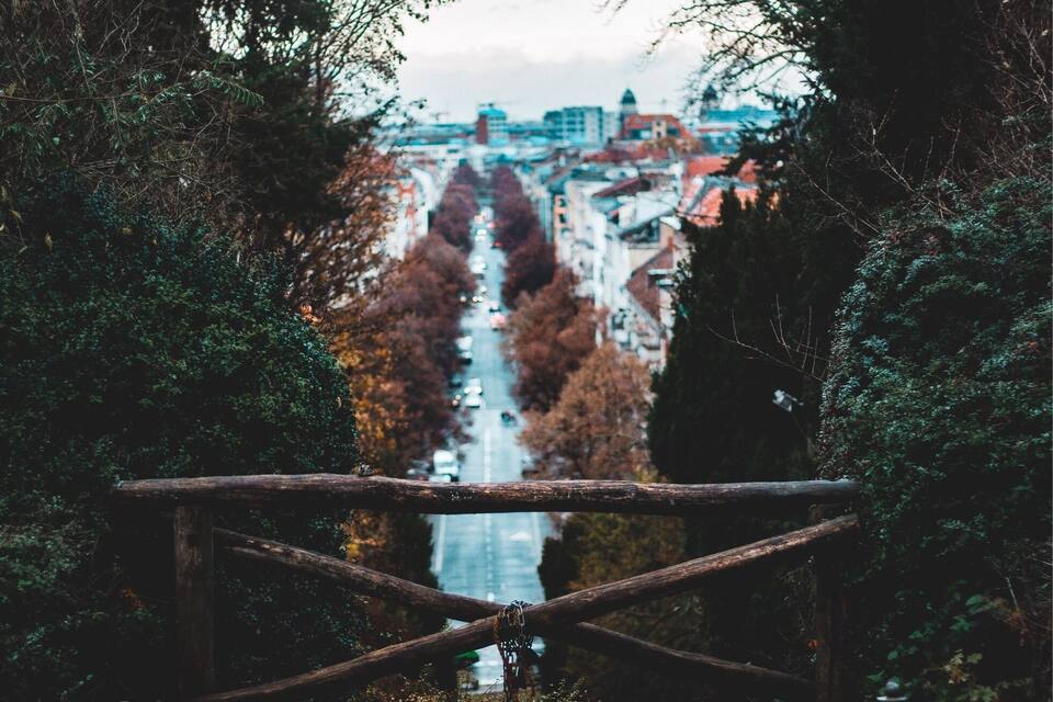 Un sendero que lleva a un río, con un paisaje urbano al fondo.
