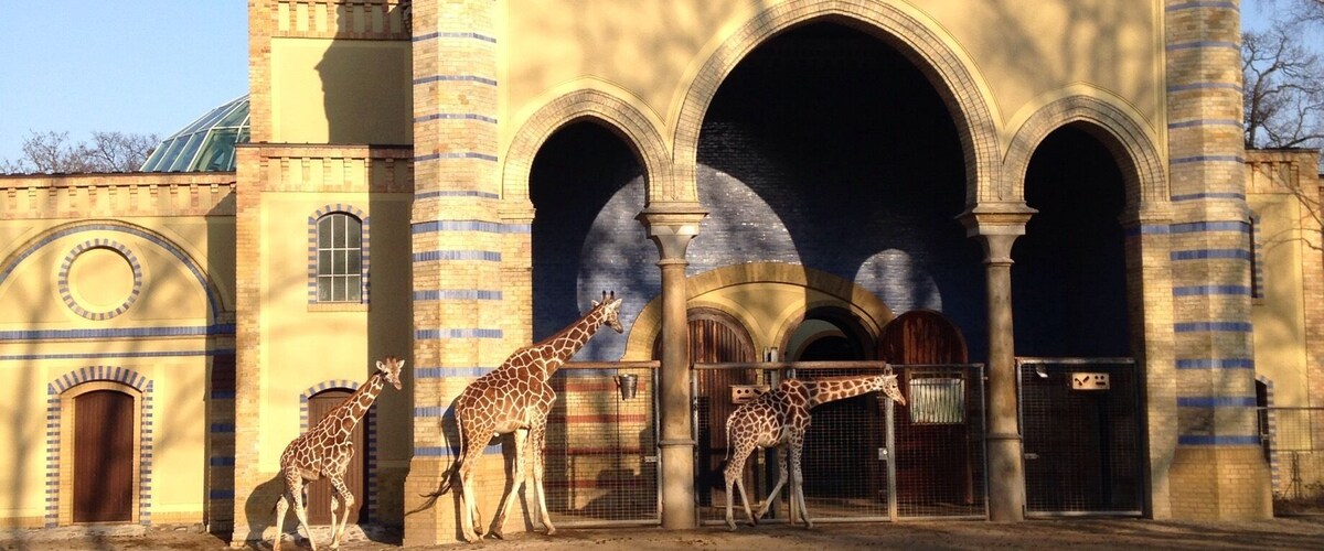 Een gebouw met bogen en twee minaretten, omringd door giraffen.