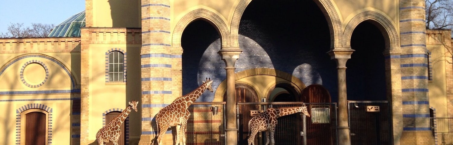 Berlin zoo