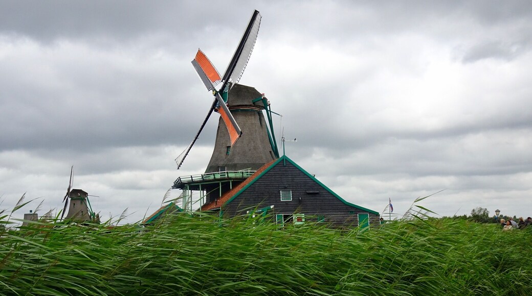 Windmills on trip to Amsterdam