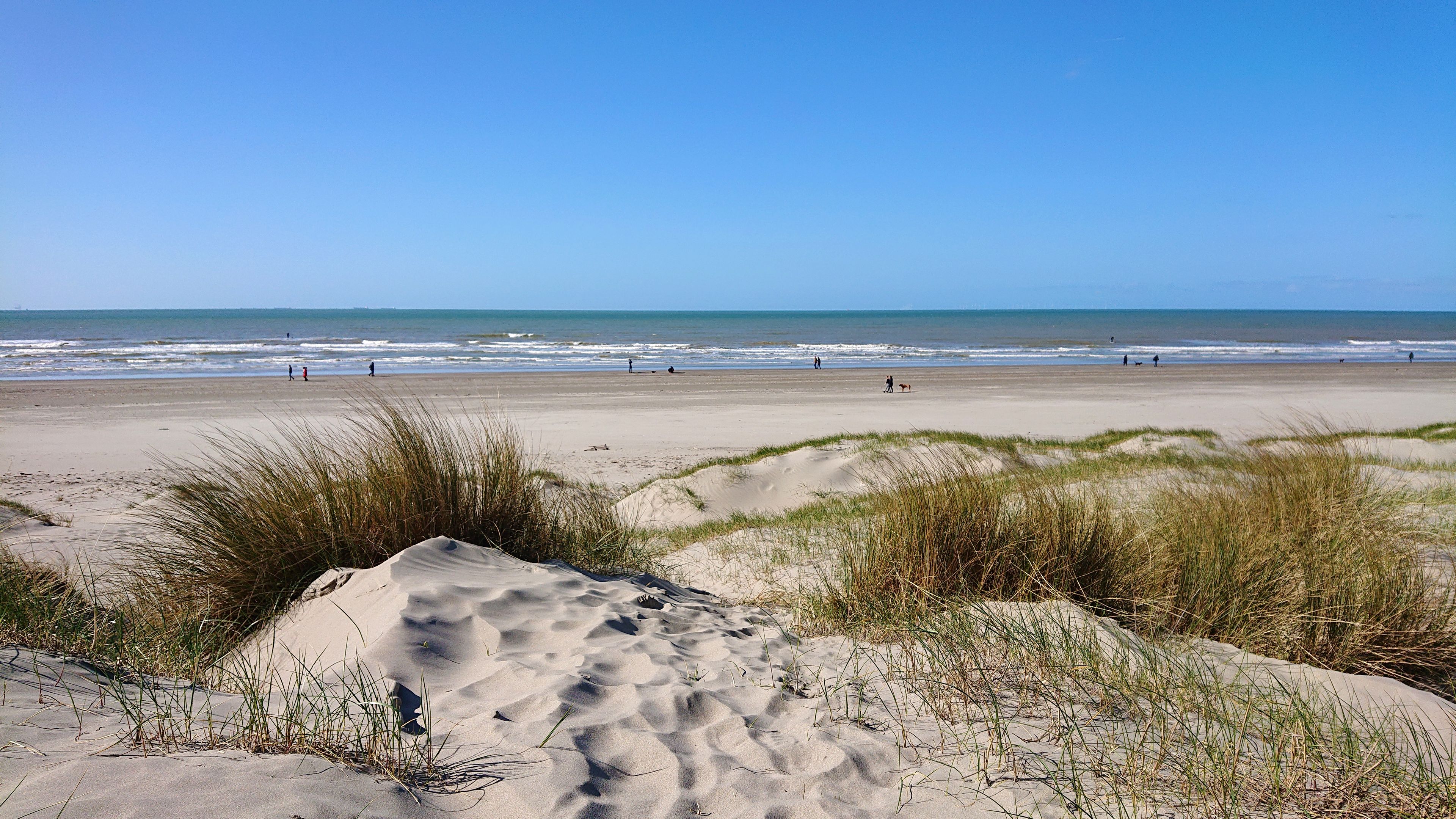 A sandy beach with dunes and the ocean in the background.