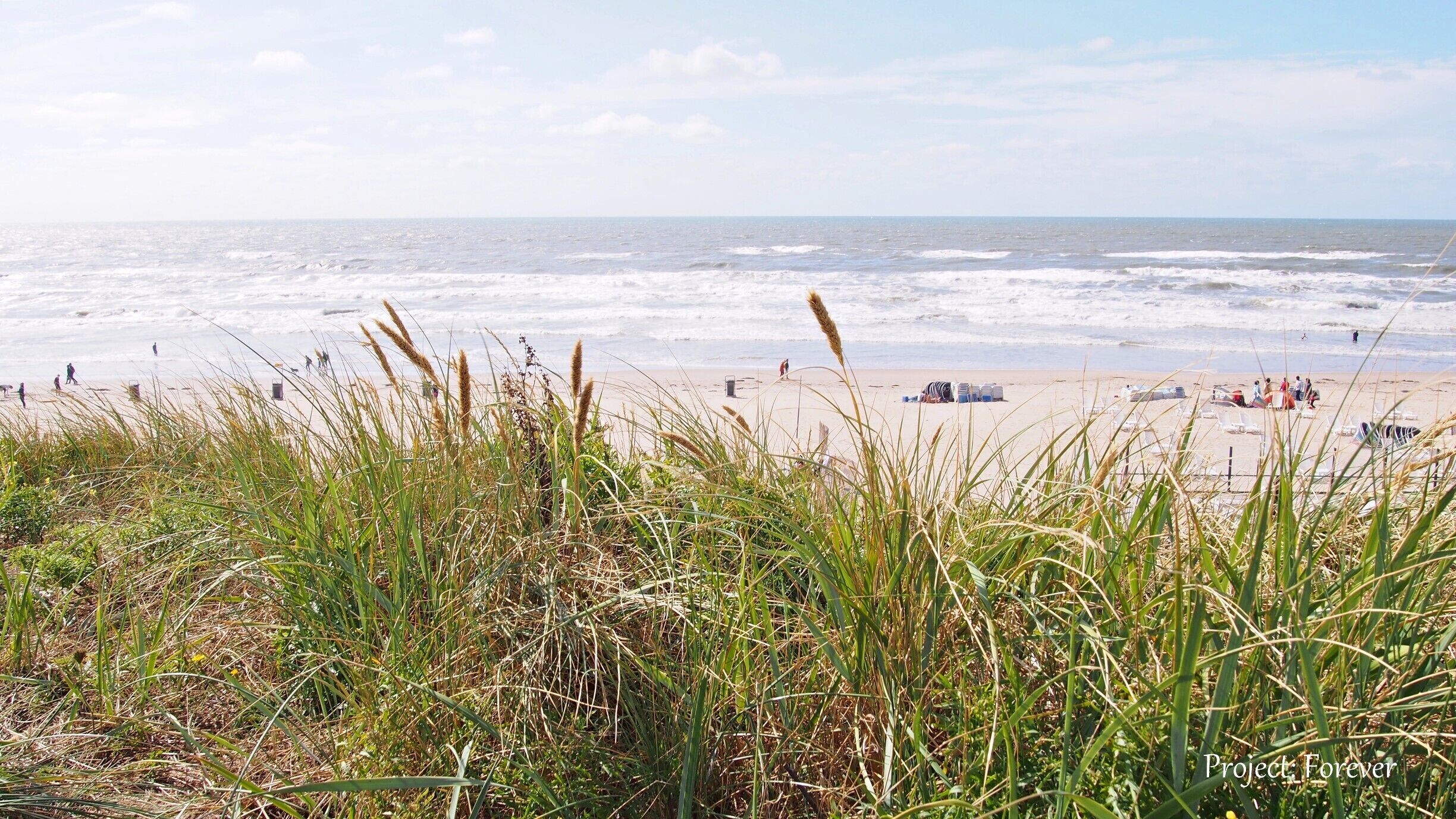 A beach with waves, people, and grass in the foreground.