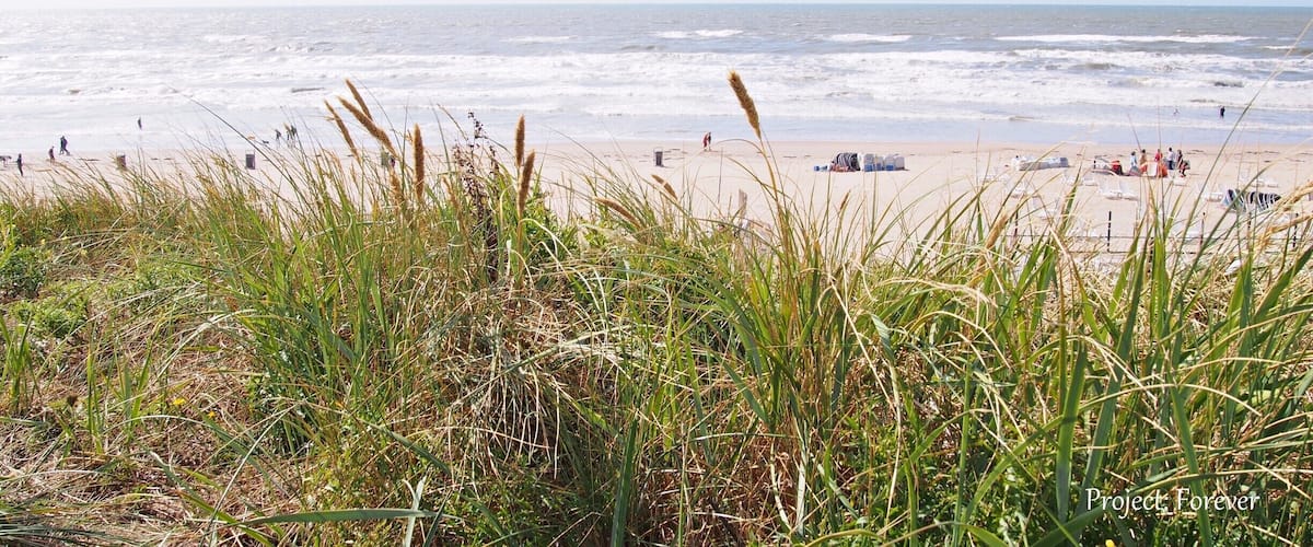 Did you know there are countless miles of beach in the Netherlands? Of course there is, since it's right on the Atlantic coast, but I didn't imagine them quite like this. Get your own piece of white sand and dunes next summer!