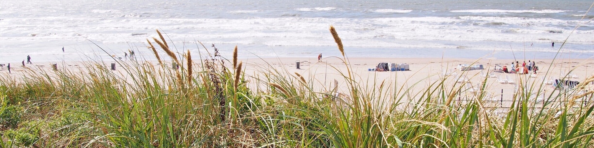 Did you know there are countless miles of beach in the Netherlands? Of course there is, since it's right on the Atlantic coast, but I didn't imagine them quite like this. Get your own piece of white sand and dunes next summer!