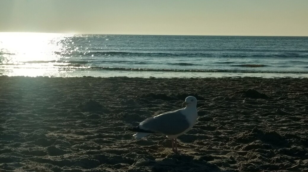 #LifeAtExpedia Vitamin Sea is needed by all.