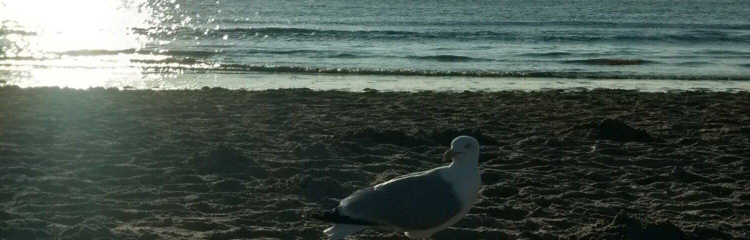 #LifeAtExpedia Vitamin Sea is needed by all.