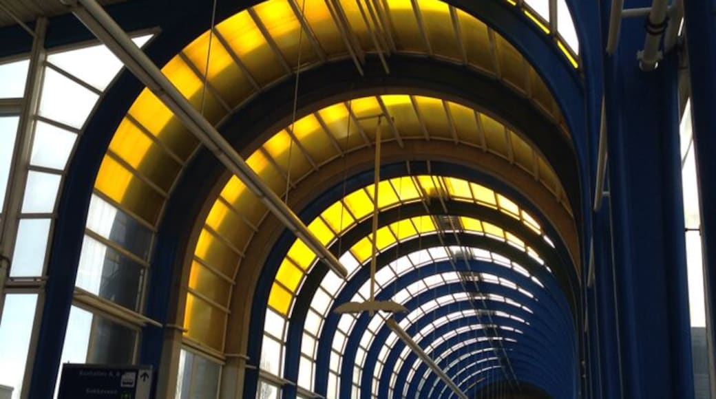 Cannot get more Holland than that: a bicycle path on a covered pedestrian bridge. It's the fastest way to get on the train, with your bike. Very Dutch as well: you need to buy a separate ticket for the bike....