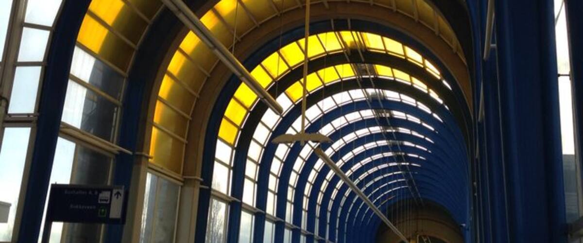 Cannot get more Holland than that: a bicycle path on a covered pedestrian bridge. It's the fastest way to get on the train, with your bike. Very Dutch as well: you need to buy a separate ticket for the bike....