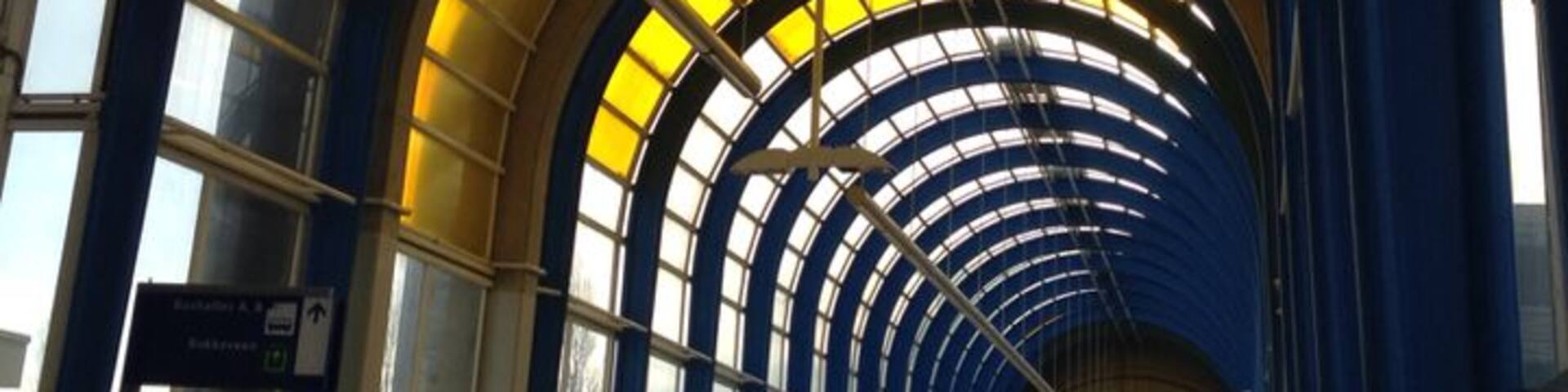 Cannot get more Holland than that: a bicycle path on a covered pedestrian bridge. It's the fastest way to get on the train, with your bike. Very Dutch as well: you need to buy a separate ticket for the bike....