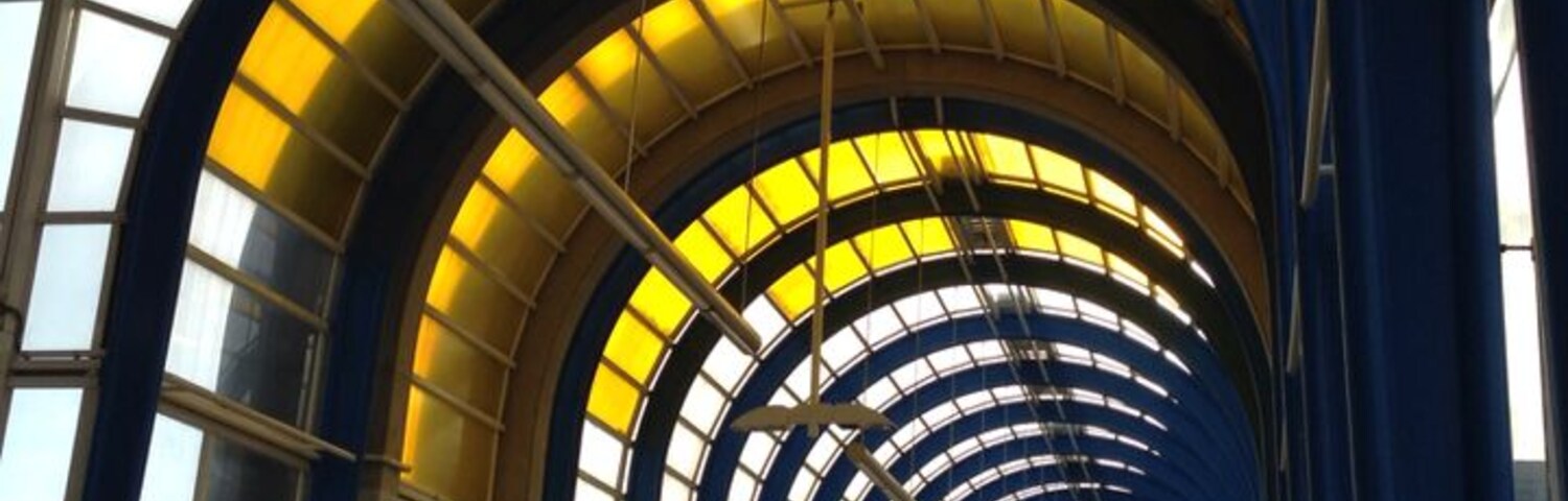 Cannot get more Holland than that: a bicycle path on a covered pedestrian bridge. It's the fastest way to get on the train, with your bike. Very Dutch as well: you need to buy a separate ticket for the bike....