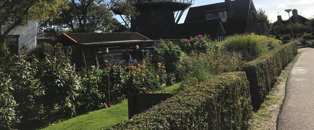 A traditional windmill, a garden with flowers, and a road.