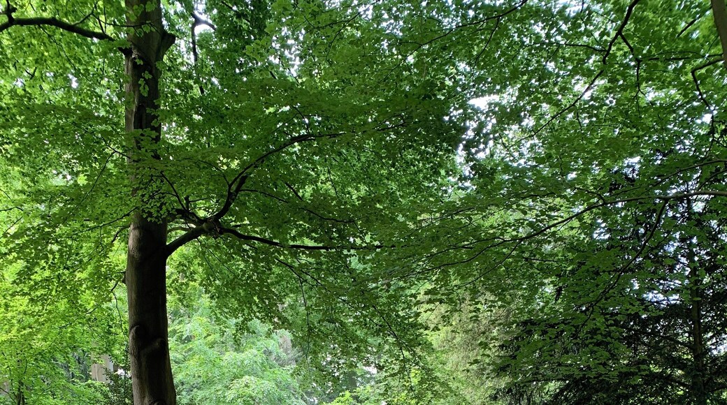 Prachtig om te wandelen.