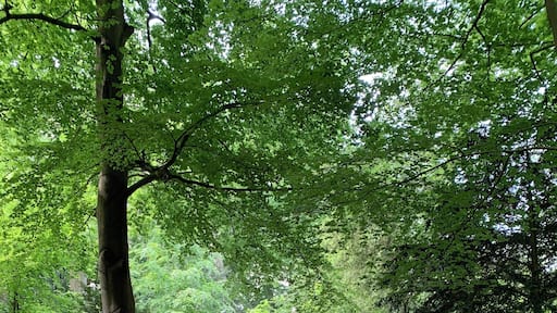 Prachtig om te wandelen.