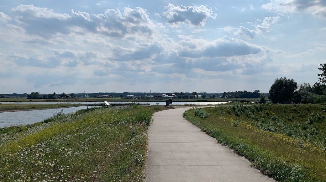 Lekker stukje wandelen