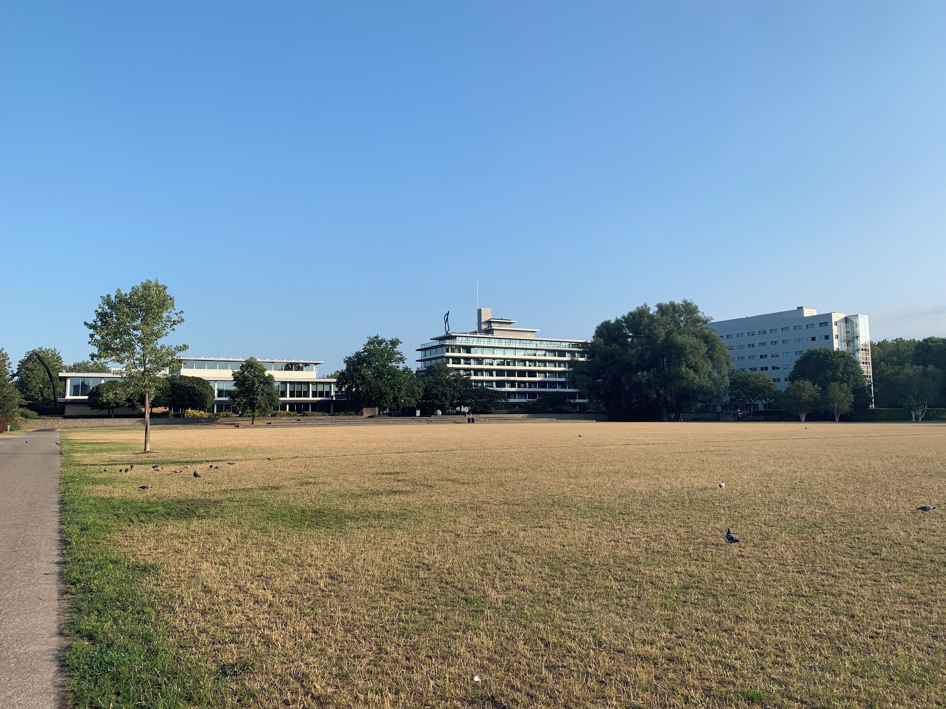 Het Provinciehuis. Met een zeer drook grasveld. Voor mij weer een nieuwe werkdag 🧐