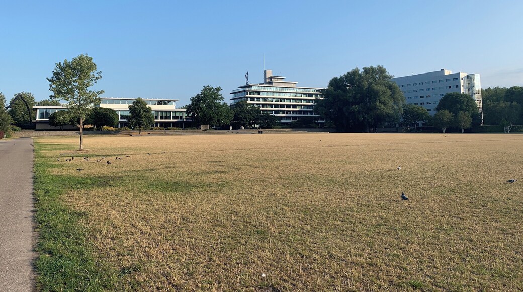 Het Provinciehuis. Met een zeer drook grasveld. Voor mij weer een nieuwe werkdag 🧐