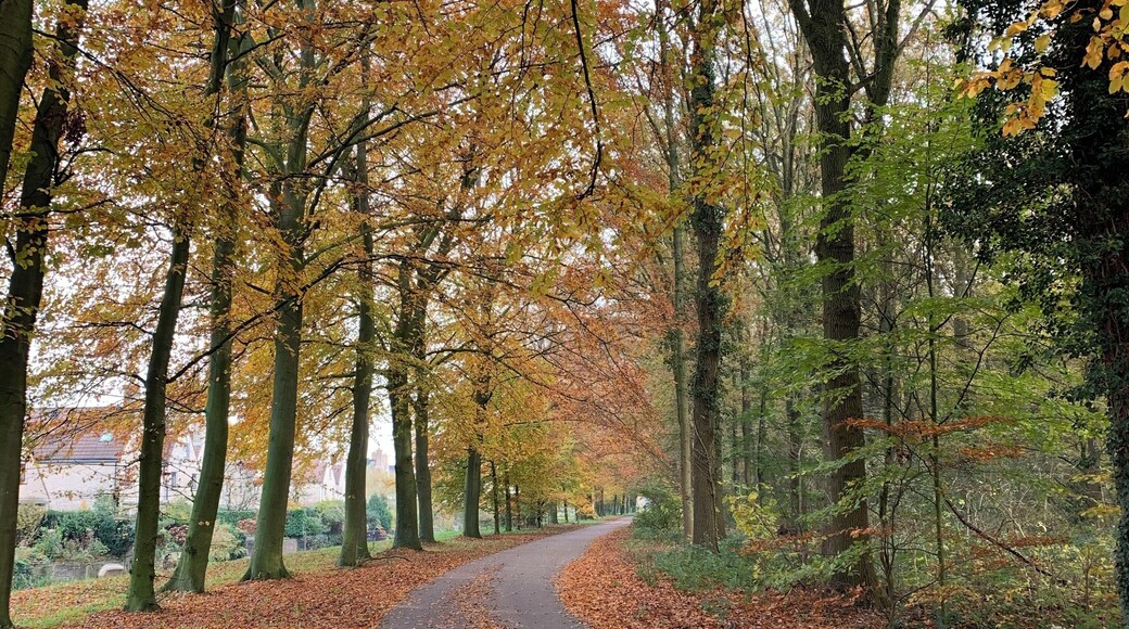Prachtig wandel gebied.