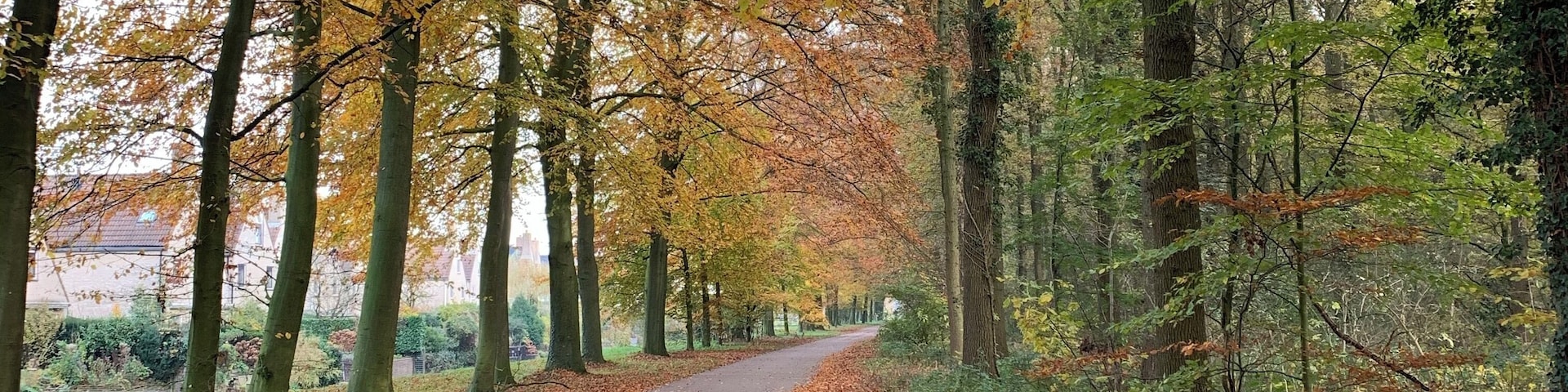 Prachtig wandel gebied.